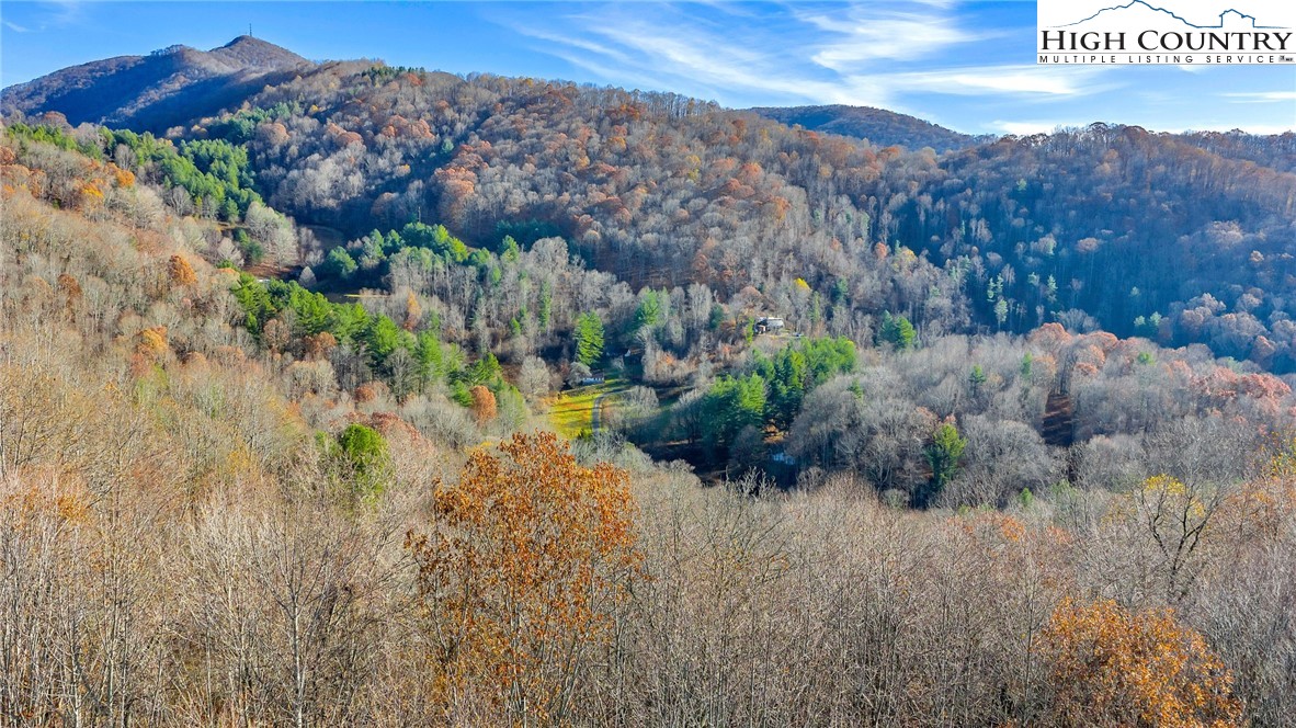 1451 Elliott Road West Jefferson, NC 28694 - Photo 30 of 33 a view of a bunch of trees and bushes