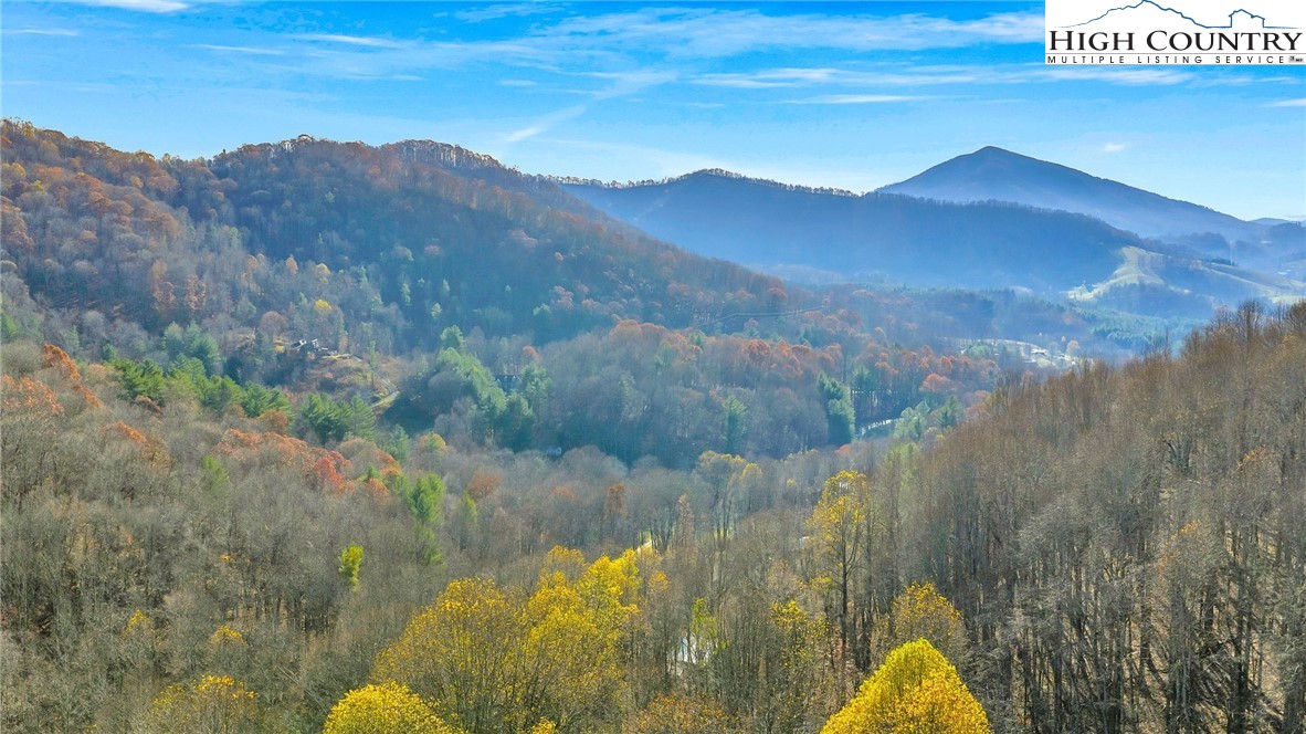 1451 Elliott Road West Jefferson, NC 28694 - Photo 32 of 33 a view of lake and mountain
