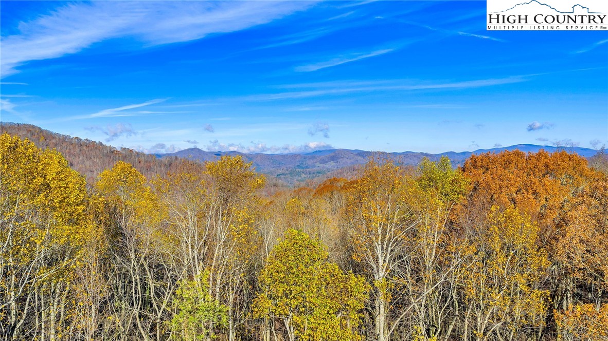 1451 Elliott Road West Jefferson, NC 28694 - Photo 33 of 33 a view of a city