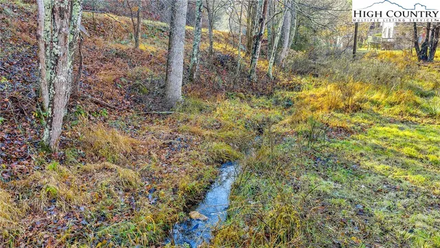 a bathroom with a shower curtain