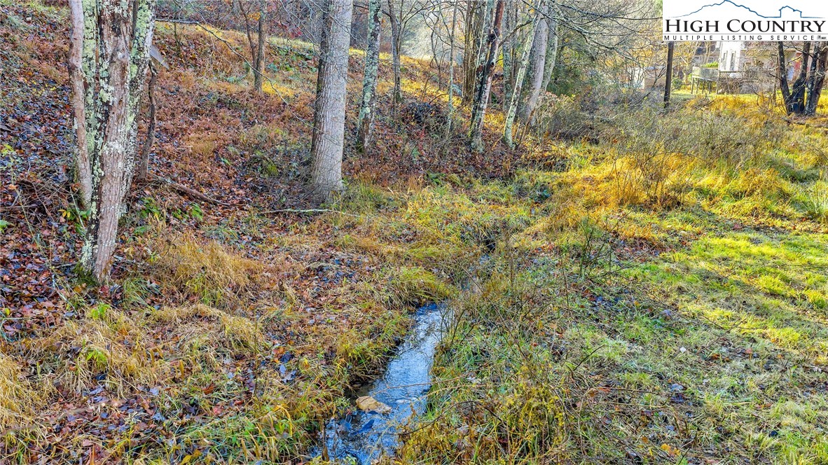 1451 Elliott Road West Jefferson, NC 28694 - Photo 5 of 33 a view of a yard with plants and trees