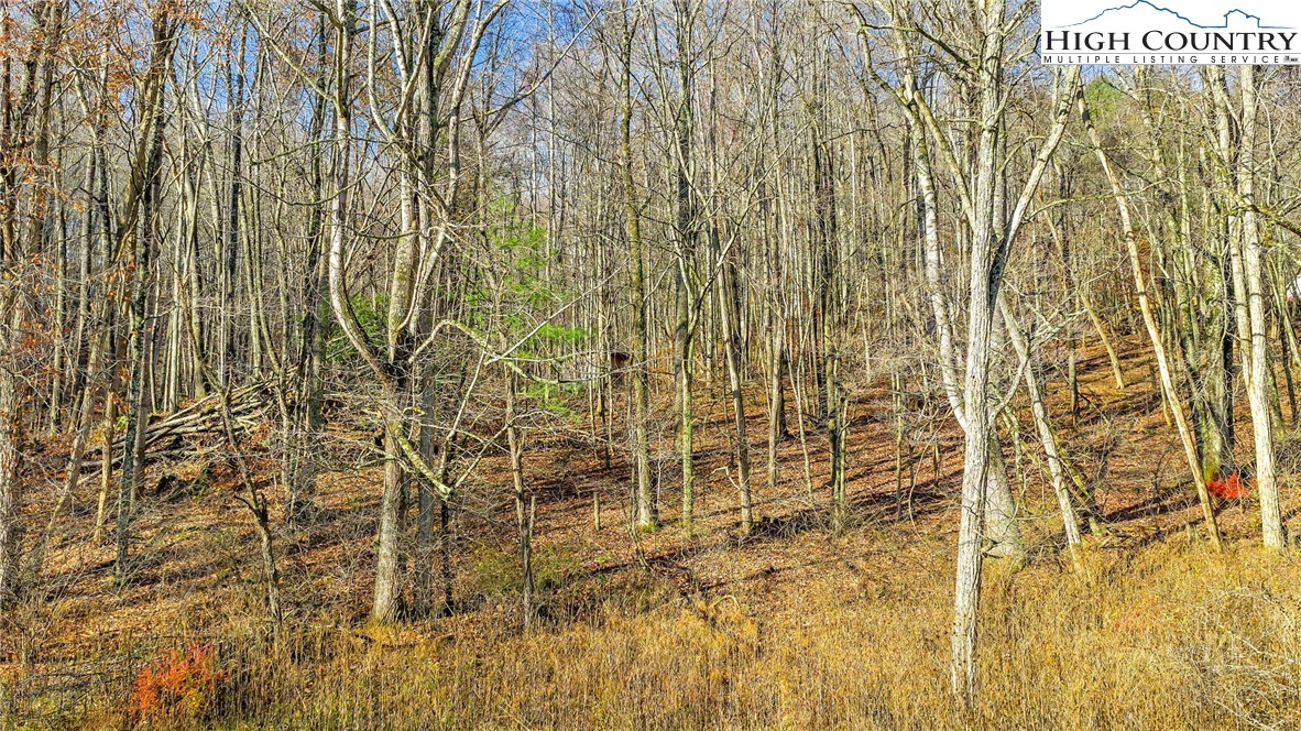 1451 Elliott Road West Jefferson, NC 28694 - Photo 6 of 33