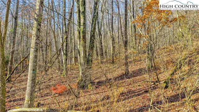 a view of yard with swimming pool