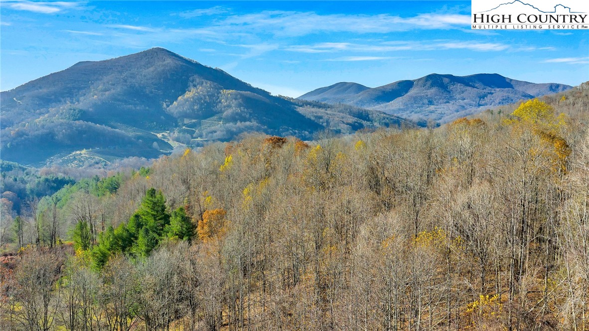 1451 Elliott Road West Jefferson, NC 28694 - Photo 9 of 33