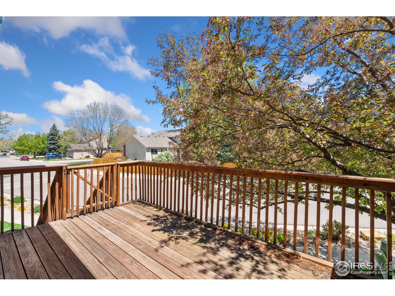 4238 Gemstone Lane Fort Collins, CO 80525 - Photo 18 of 19
