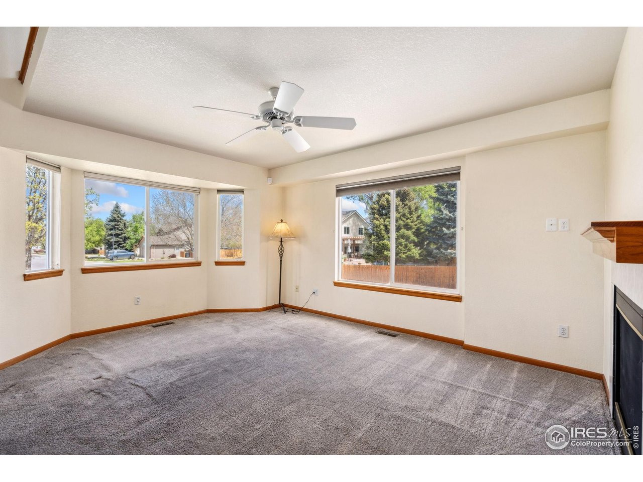 4238 Gemstone Lane Fort Collins, CO 80525 - Photo 5 of 19