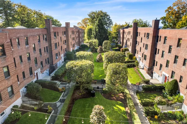 a view of a garden with plants