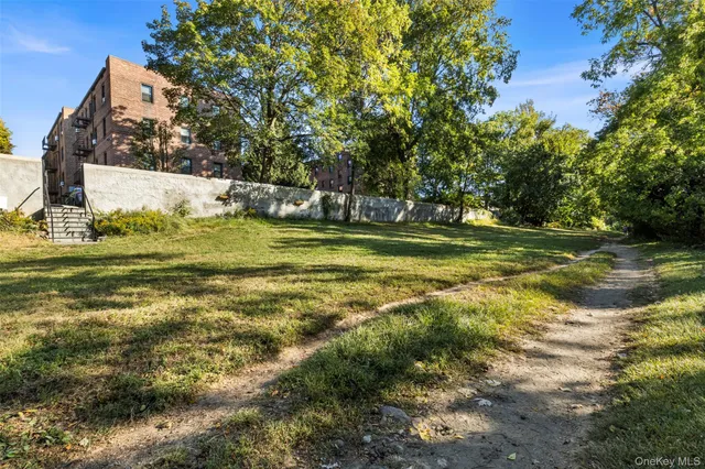 a view of a big yard with plants and large trees