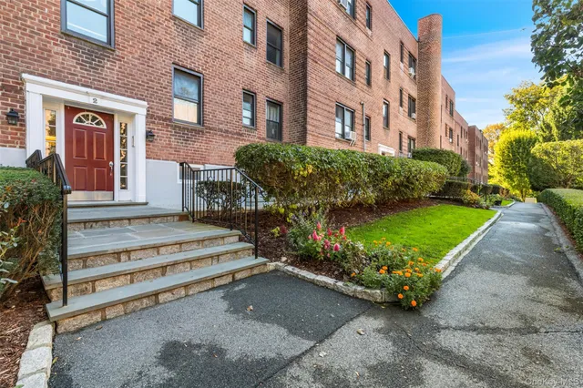 a view of backyard with a garden and plants