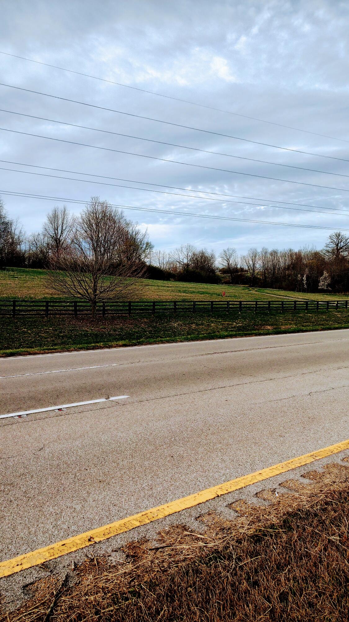 4290 Lexington Road Paris, KY 40361 - Photo 2 of 15 IMG_20230311_174416612_HDR