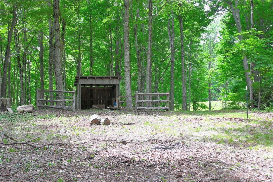 463 Fairview Church Road Lansing, NC 28643 - Photo 9 of 49