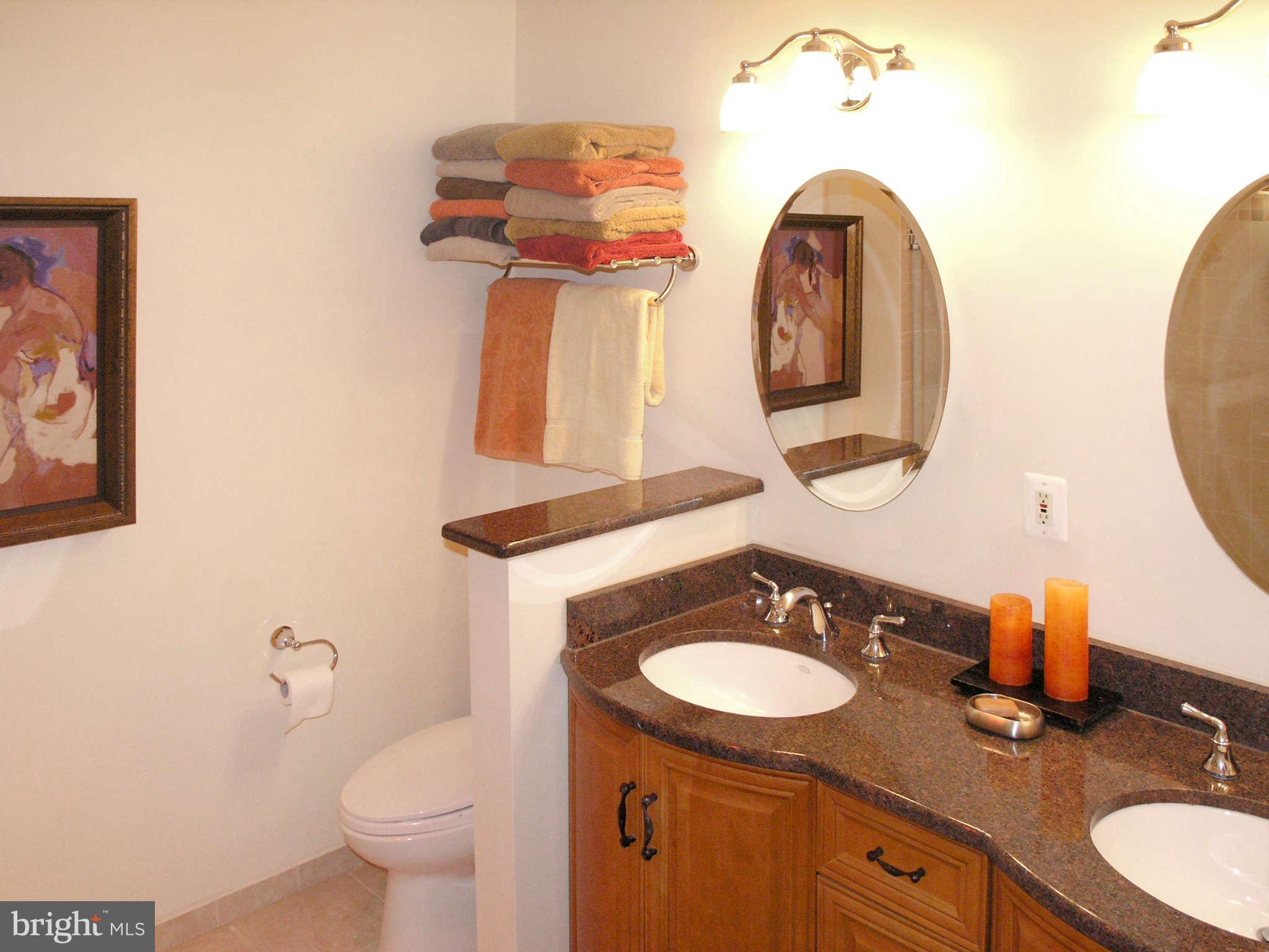 11431 Hook Road Reston, VA 20190 - Photo 19 of 30 a bathroom with a granite countertop toilet sink and mirror
