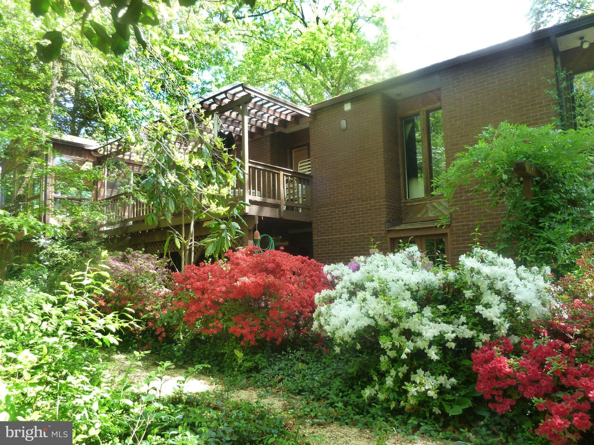 11431 Hook Road Reston, VA 20190 - Photo 3 of 30 a front view of a house with plants