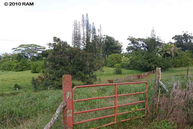 0 West Kuiaha Road Haiku, HI 96708 - Photo 16 of 20 Gallery Image 16