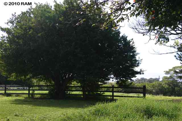 0 West Kuiaha Road Haiku, HI 96708 - Photo 19 of 20 Gallery Image 19