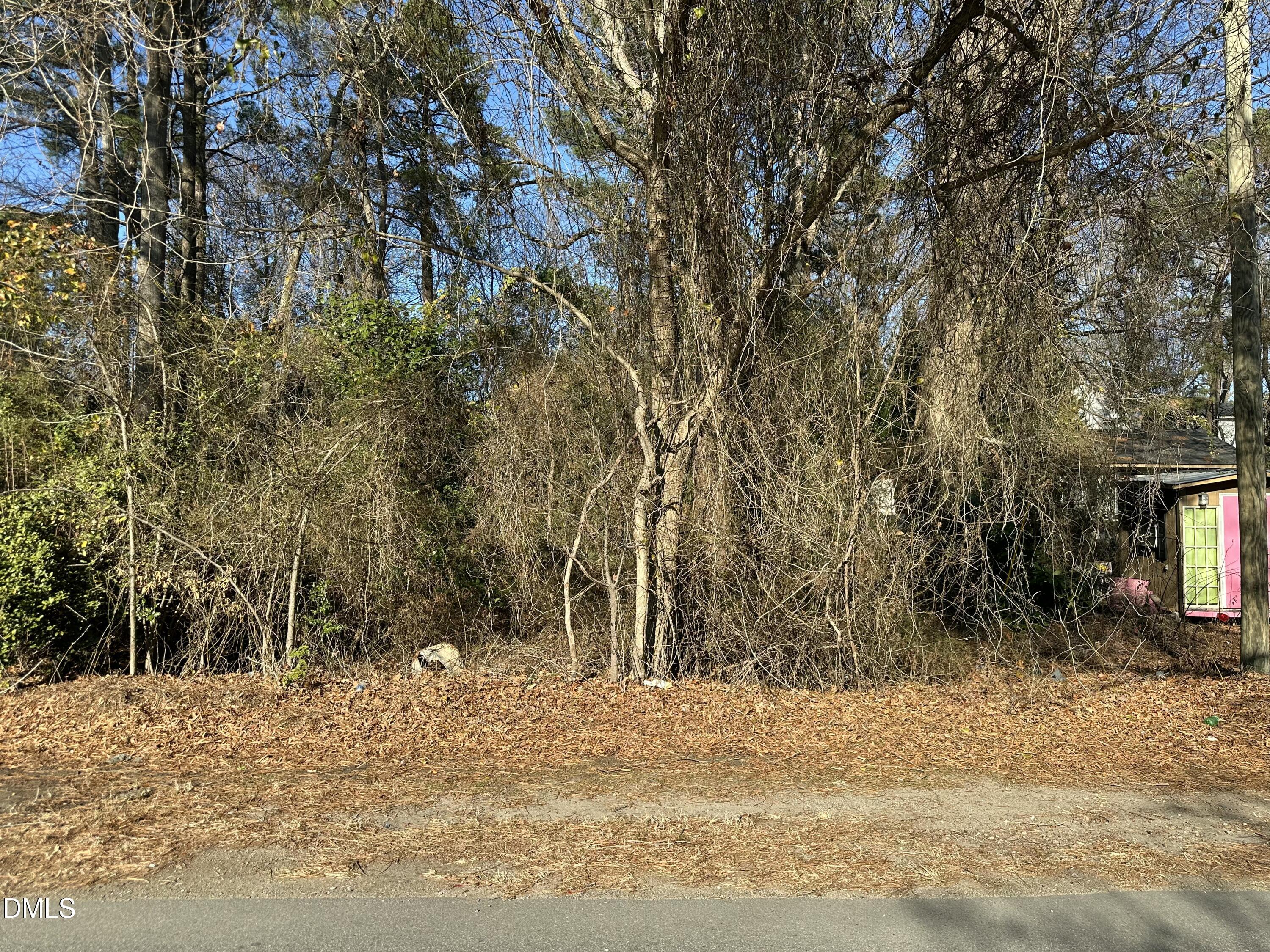 0 West Old Road Lillington, NC 27546 - Photo 2 of 2 a view of a backyard of a house