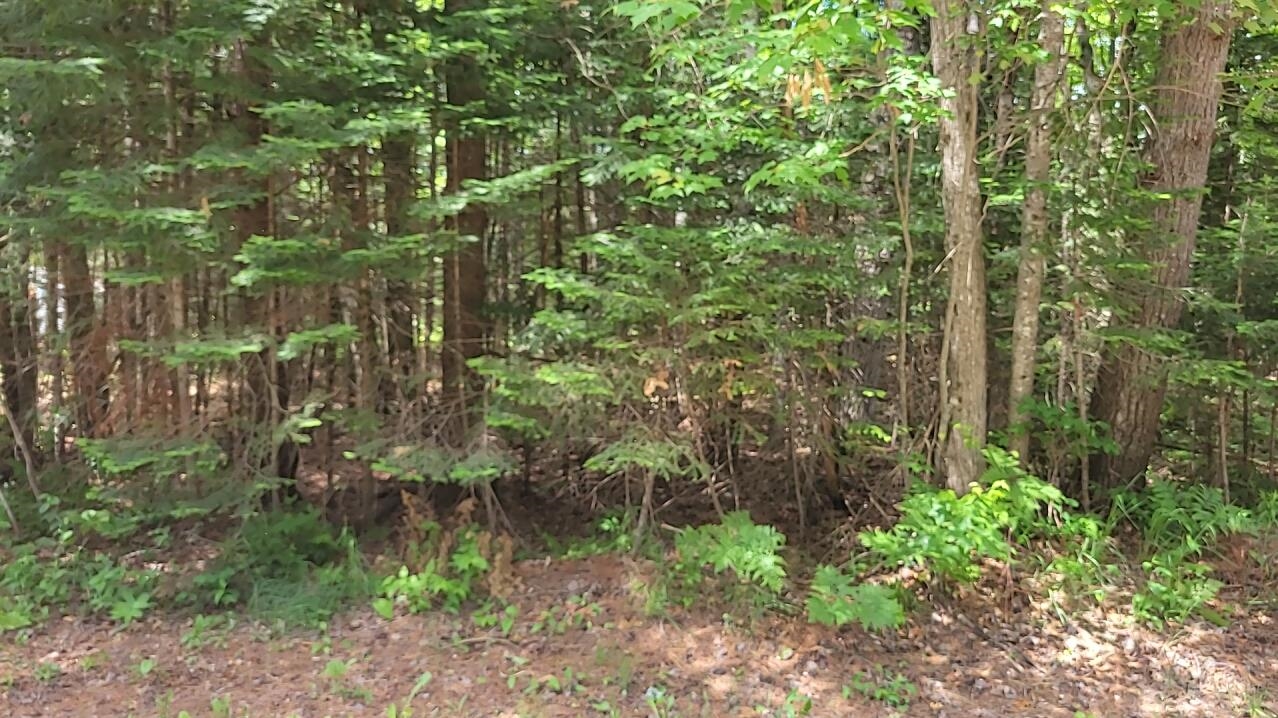 West Batterson Road Frederic, MI 49733 - Photo 2 of 6