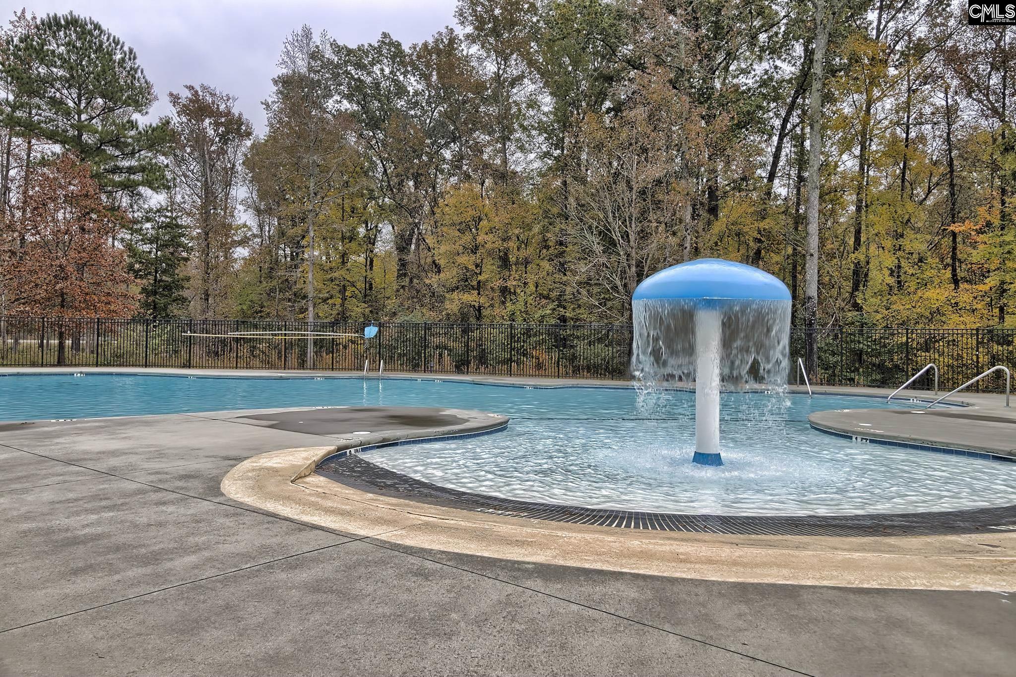 194 Westcott Ridge Road Chapin, SC 29036 - Photo 26 of 26