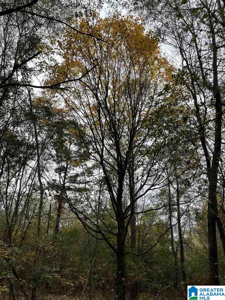 9 Highway 9, Unit 12 Heflin, AL 36264 - Photo 5 of 10