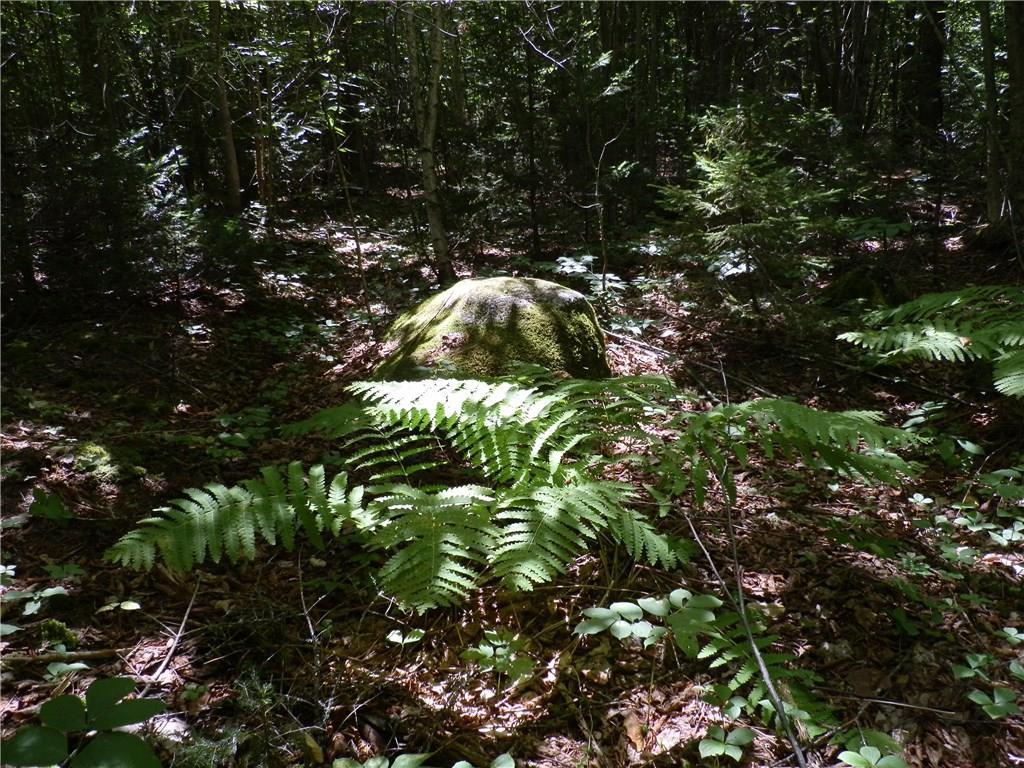 Lot 63 Eleanor Mae Road Deblois, ME 04622 - Photo 15 of 23 Photo