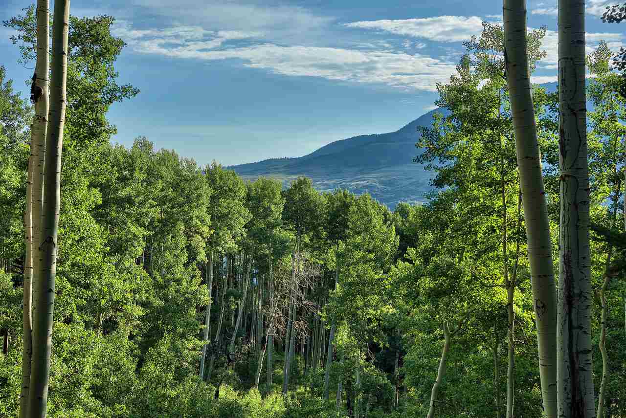 1374 Hampton Road Montrose, CO 81403 - Photo 36 of 42 Gallery Image 36