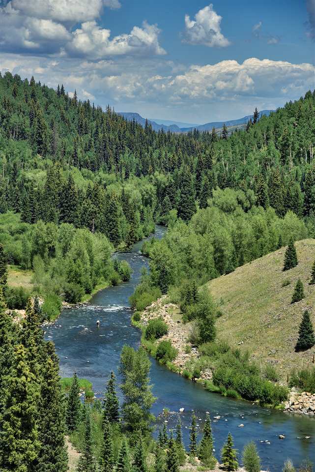 1374 Hampton Road Montrose, CO 81403 - Photo 42 of 42 Gallery Image 42
