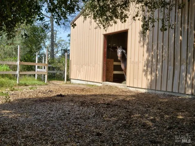 a house with trees in the background
