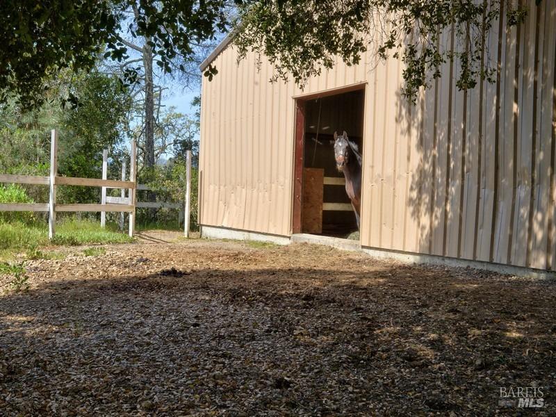 950 Canyon Road Geyserville, CA 95441 - Photo 11 of 23 a view of a house with a backyard and trees