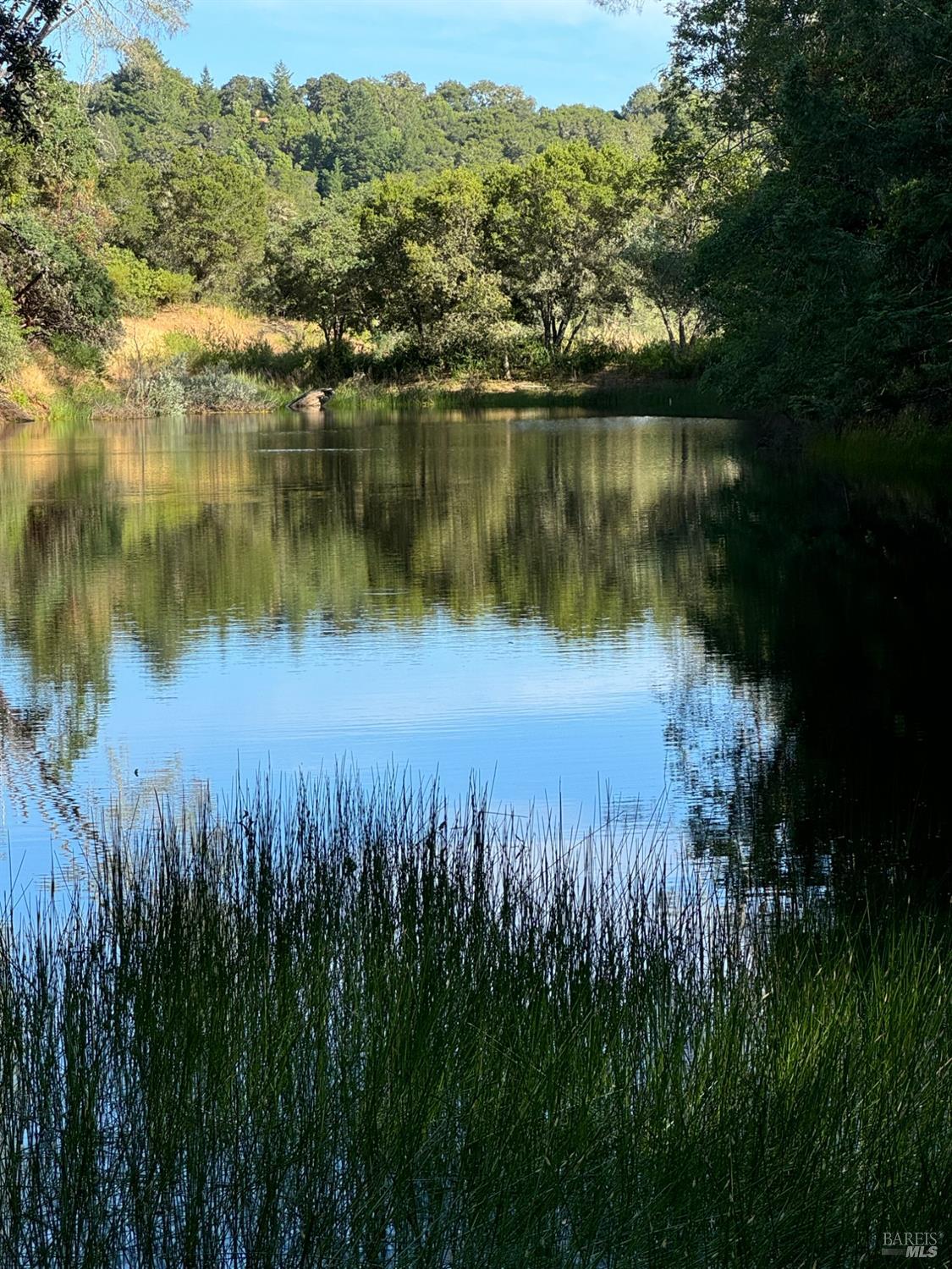 950 Canyon Road Geyserville, CA 95441 - Photo 18 of 23 a view of a lake with a yard and large trees