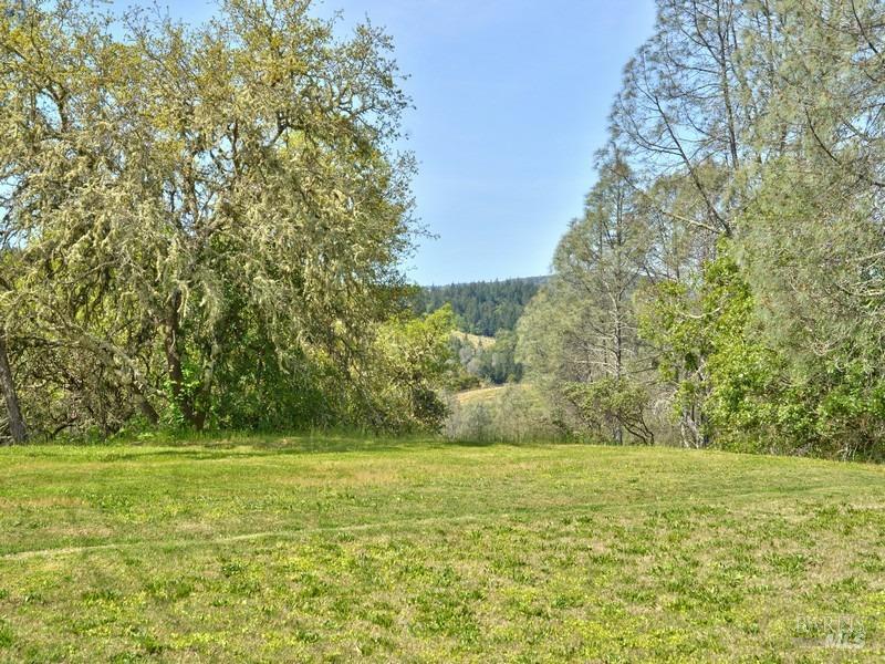 950 Canyon Road Geyserville, CA 95441 - Photo 19 of 23 a view of a green field