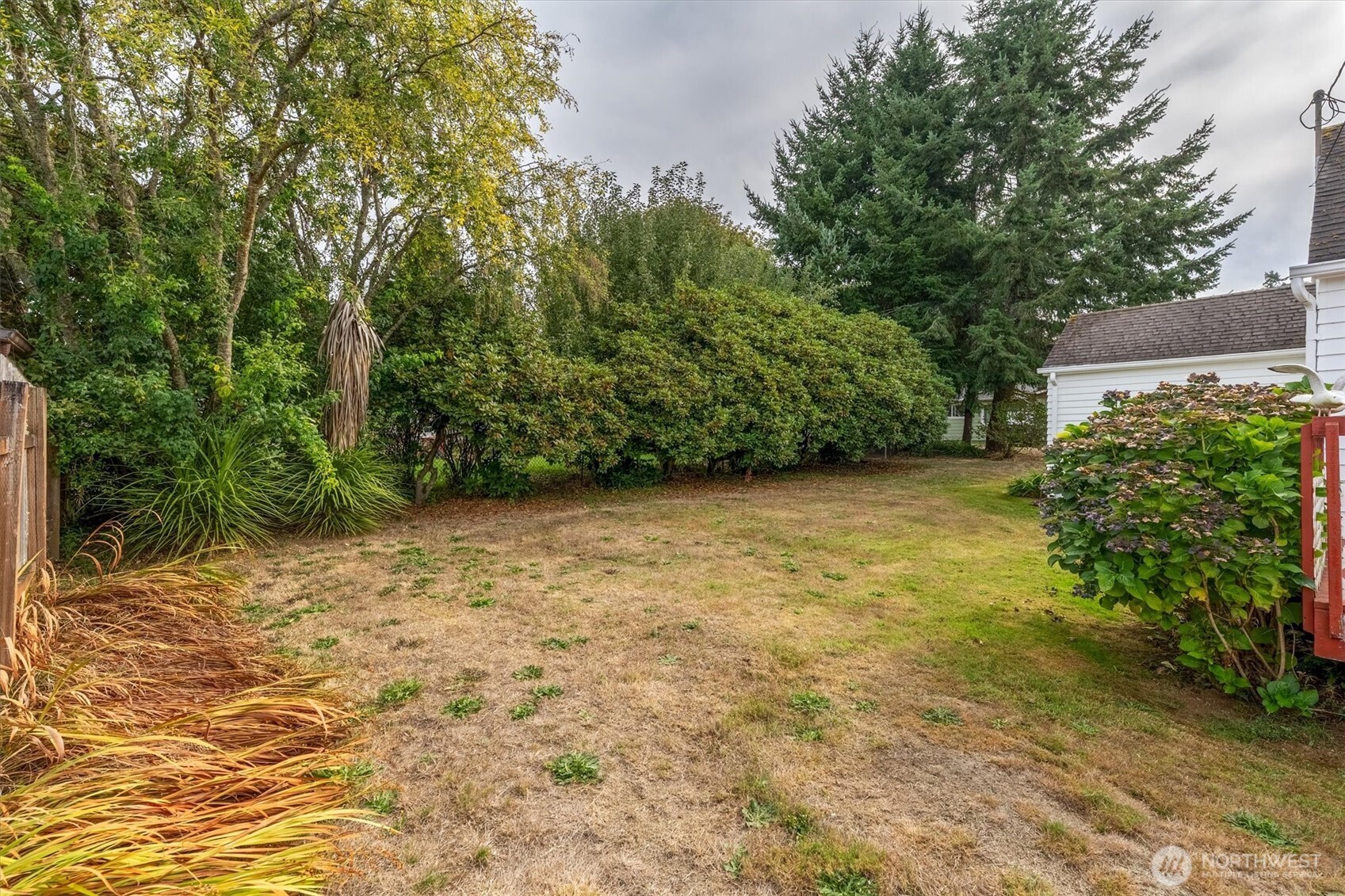 475 South 2nd Street Cathlamet, WA 98612 - Photo 31 of 40 a view of a large yard with plants and large trees