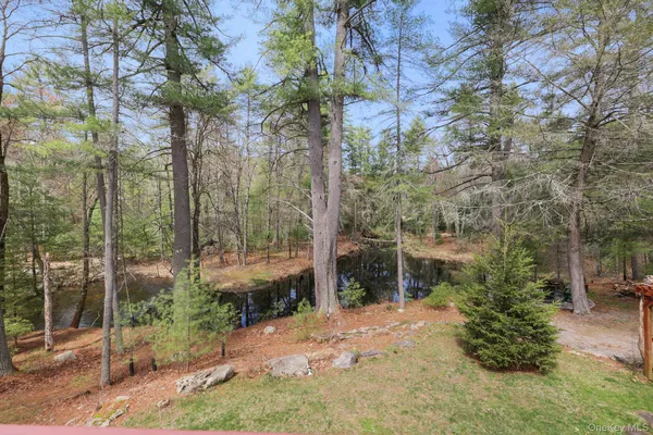 $615,000 | 20 Reber Road, Highland Lake, NY 12743