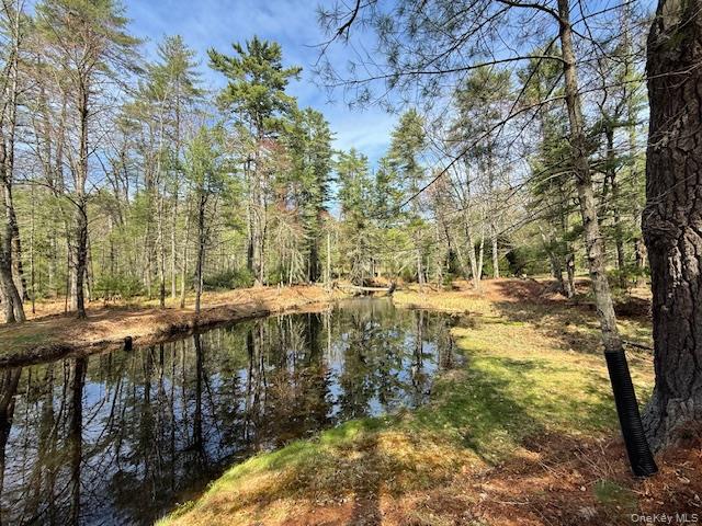 20 Reber Road Highland Lake, NY 12743 - Photo 2 of 27 Stream front