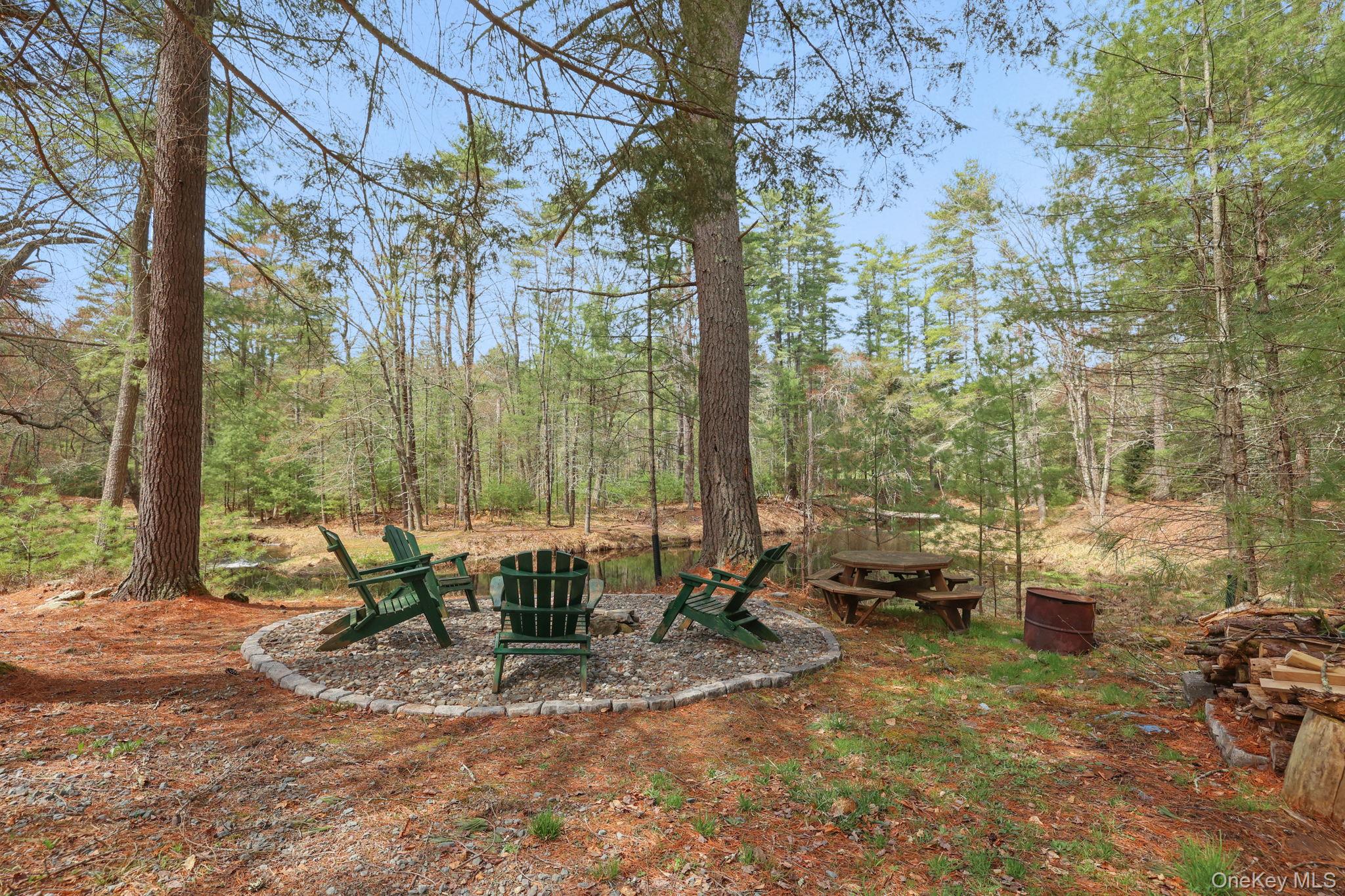20 Reber Road Highland Lake, NY 12743 - Photo 22 of 27 Firepit