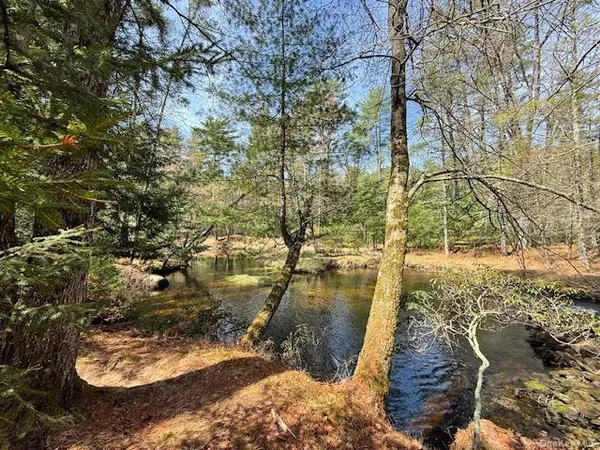 $615,000 | 20 Reber Road, Highland Lake, NY 12743