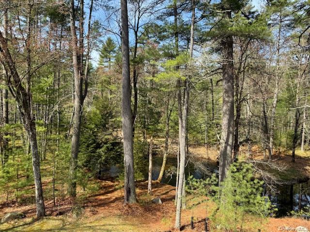 20 Reber Road Highland Lake, NY 12743 - Photo 25 of 27 Stream view from Deck