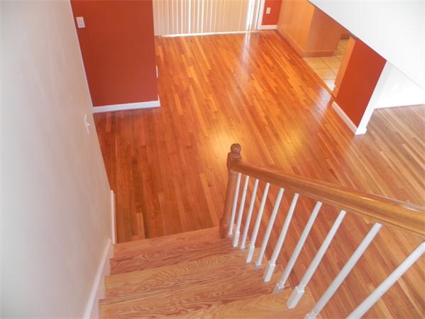 4 Lilian Rd Extension Framingham, MA 01701 - Photo 13 of 18 Gallery Image 13