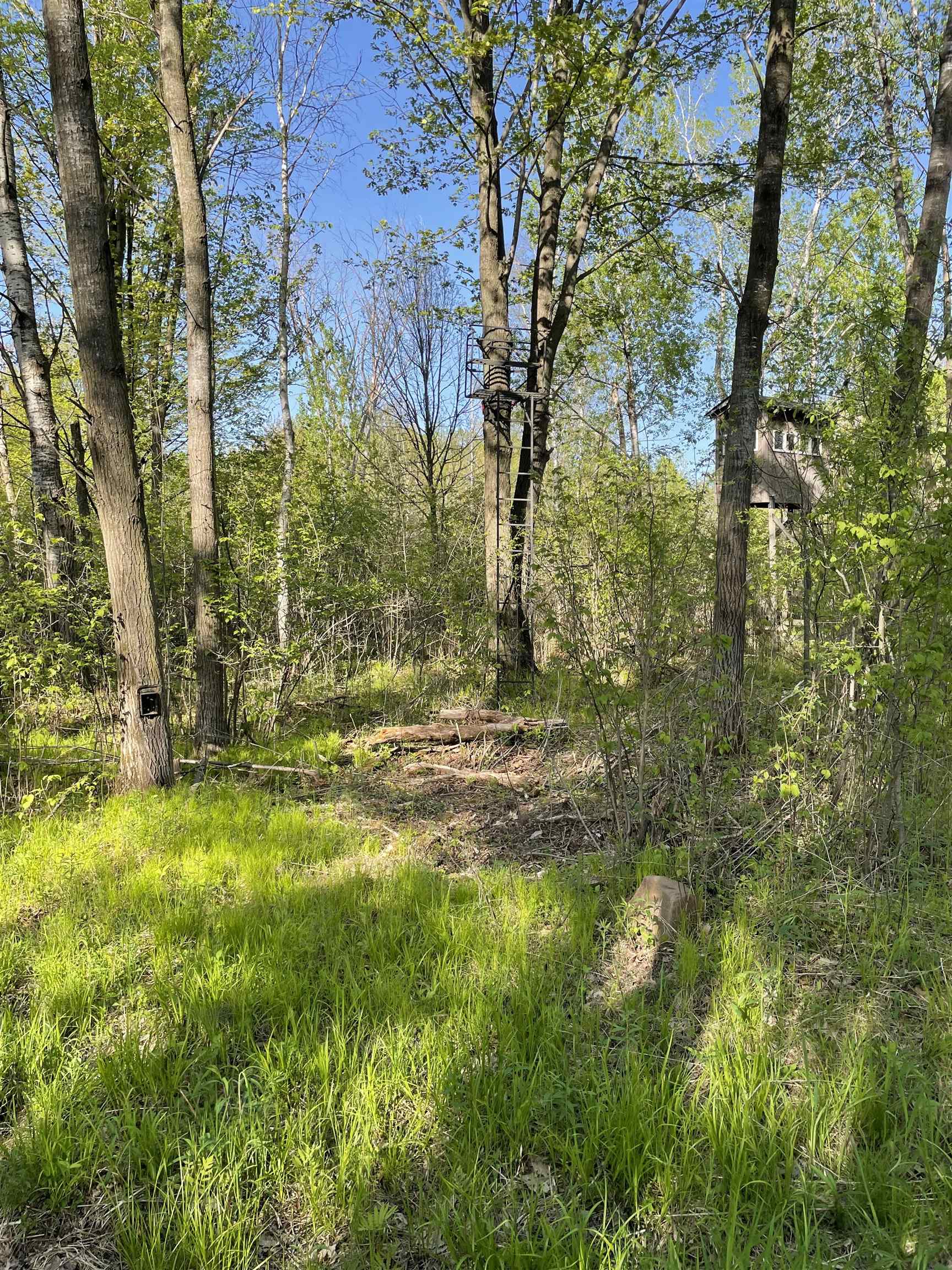 10773 County Rd K Auburndale, WI 54412 - Photo 9 of 27