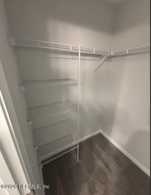 8614 Crystalline Lane Jacksonville, FL 32221 - Photo 19 of 20 a empty closet with white paint