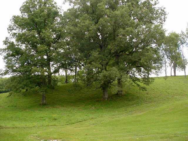 7740 Big Run Road Gambier, OH 43022 - Photo 7 of 7