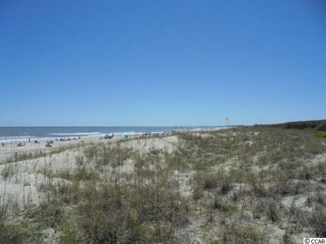 4322 Lotus Court, Unit F Murrells Inlet, SC 29576 - Photo 34 of 34 Gallery Image 34