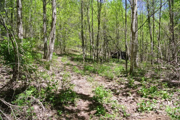 a view of outdoor space and green space