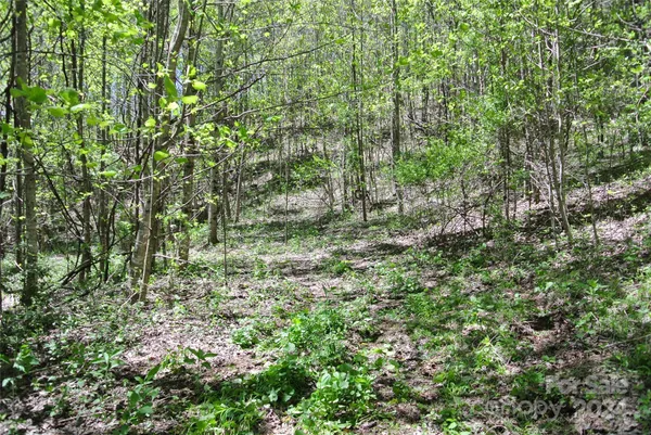 $830,000 | 0 Pond Road, Spruce Pine, NC 28777