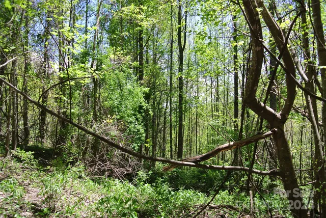 $830,000 | 0 Pond Road, Spruce Pine, NC 28777