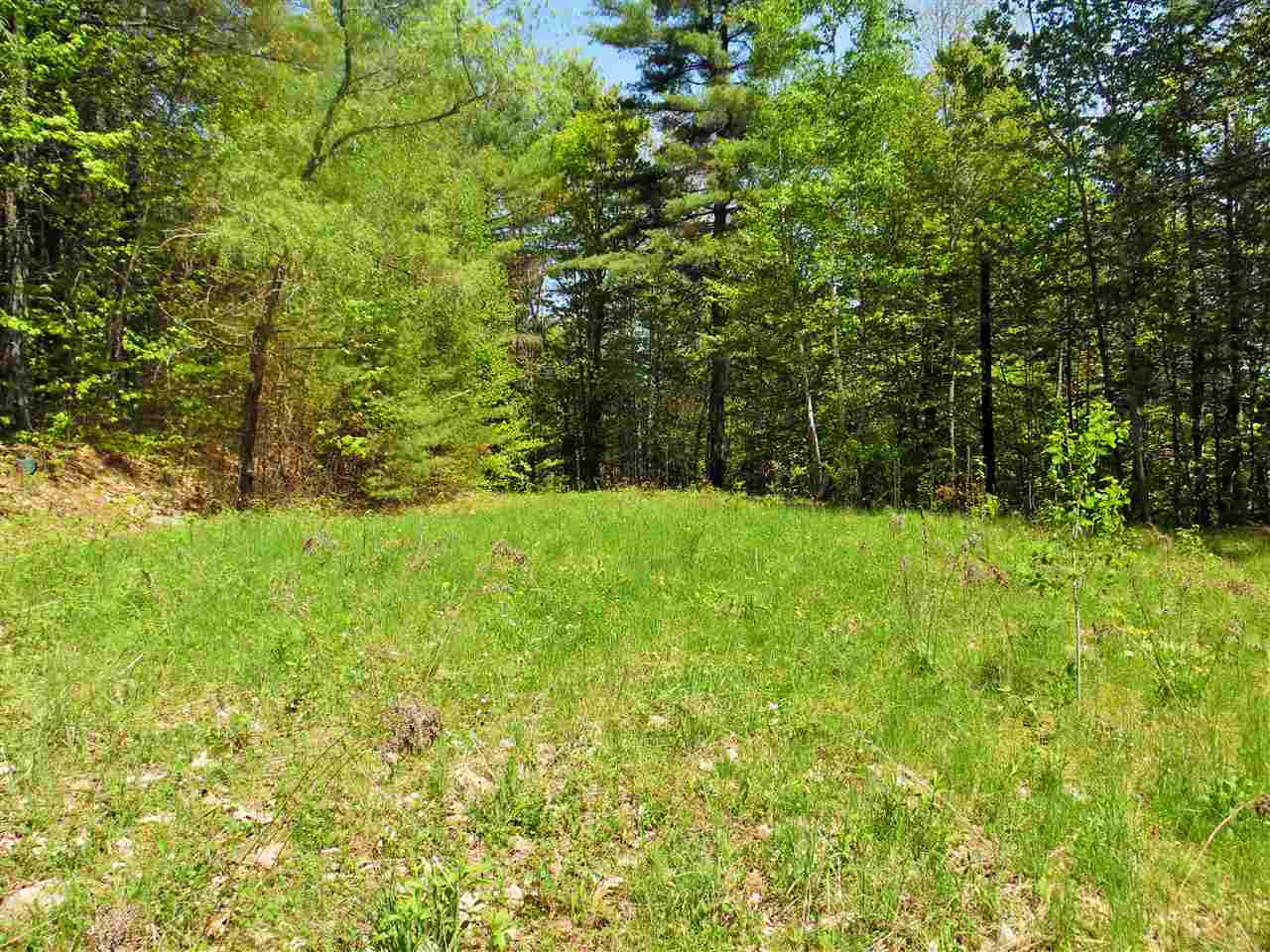 138 School Pond Road Danbury, NH 03230 - Photo 22 of 34 Gallery Image 22