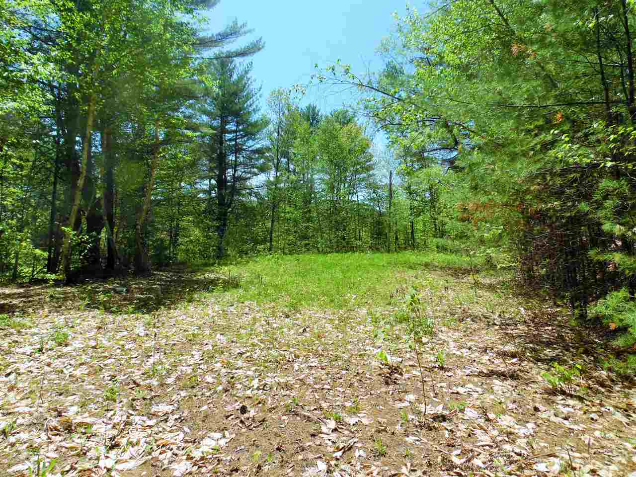 138 School Pond Road Danbury, NH 03230 - Photo 23 of 34 Gallery Image 23