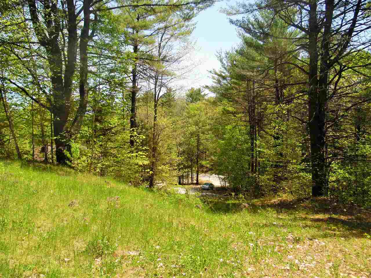 138 School Pond Road Danbury, NH 03230 - Photo 24 of 34 Gallery Image 24