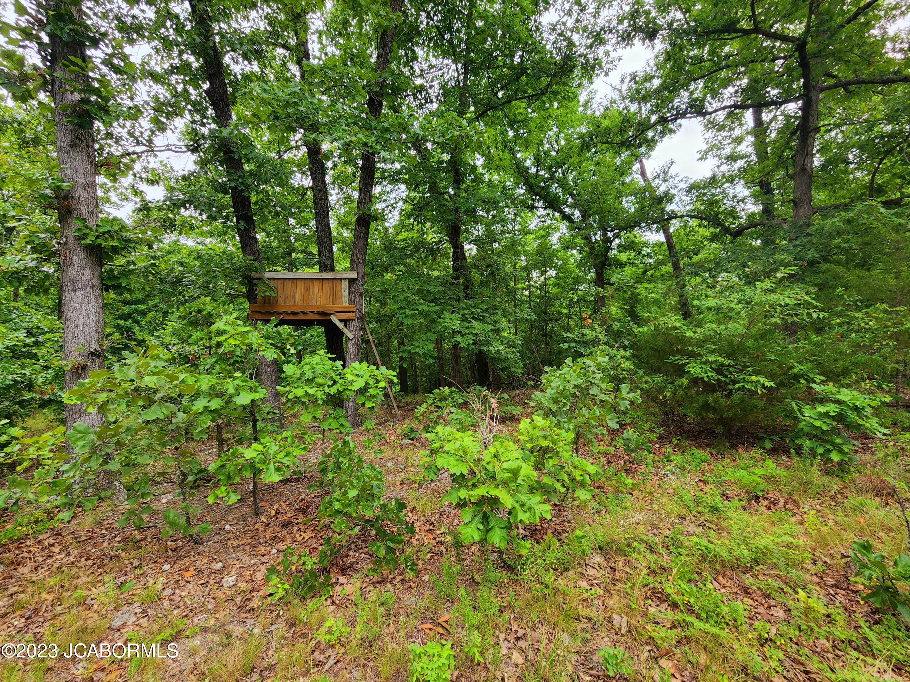 Lot 10 Copperstone Road Camdenton, MO 65020 - Photo 4 of 10