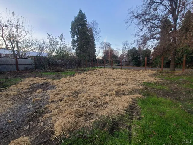 a view of outdoor space with trees