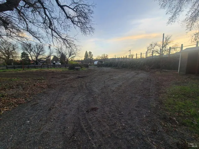 a view of a field of grass and trees